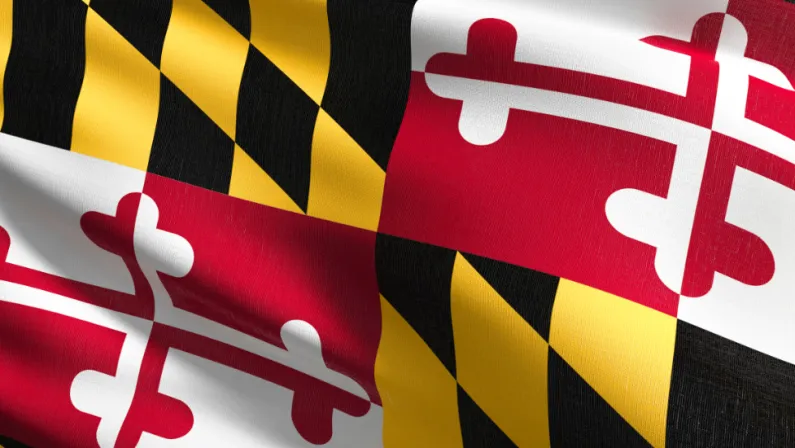 Maryland flag